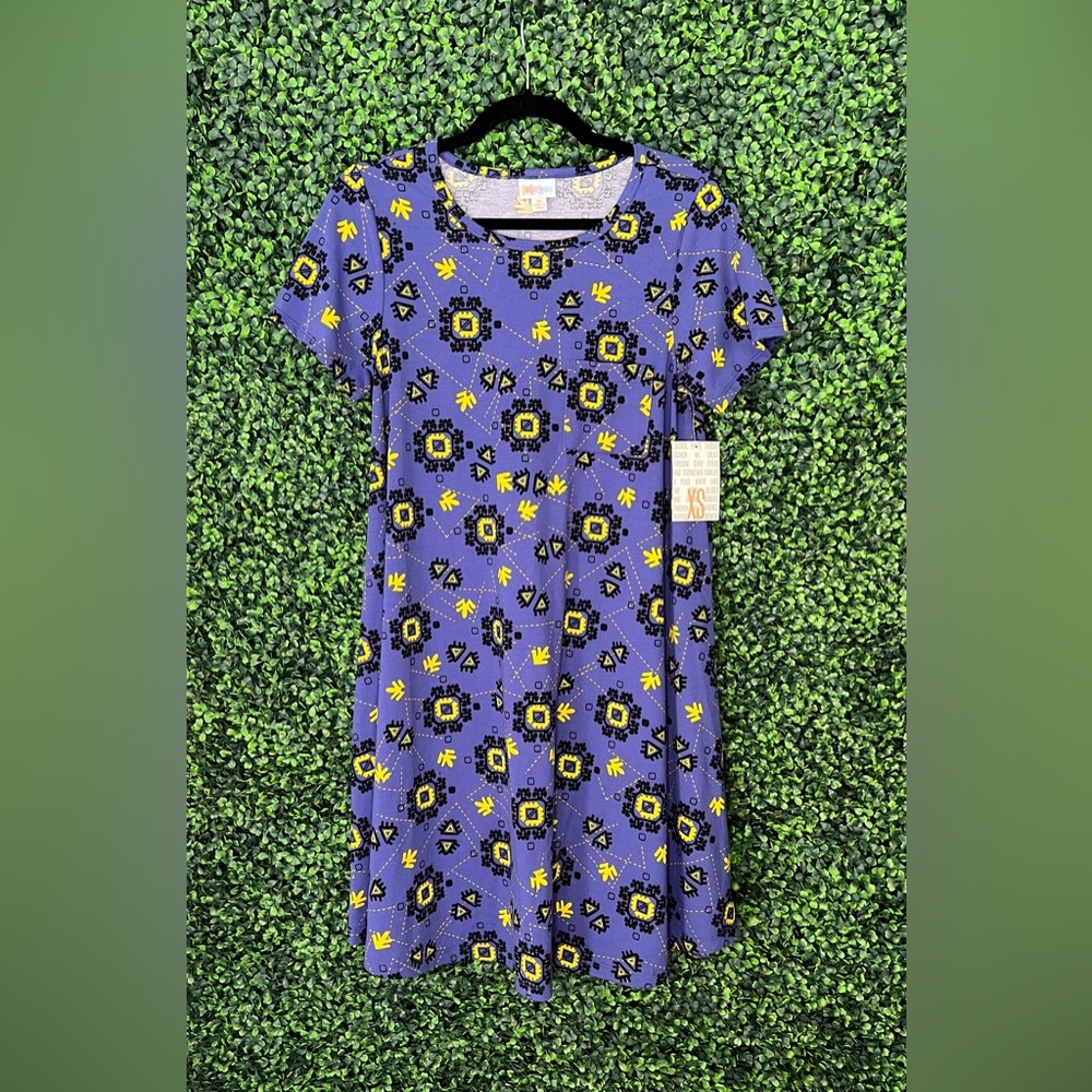 LulaRoe Carly Swing Dress